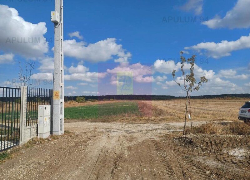 Gulia, teren intravilan curti-constructii, 516 mp, utilitati aproape